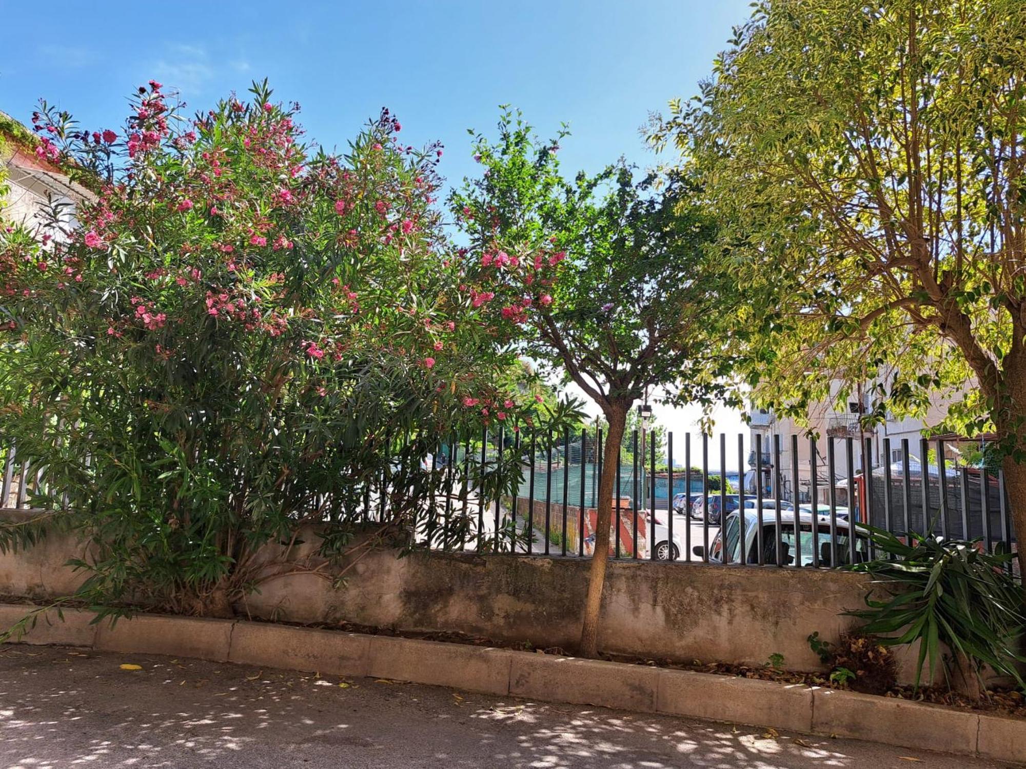 نابولي B&B Le Origini المظهر الخارجي الصورة